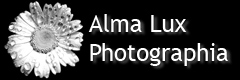 Alma Lux Photographia